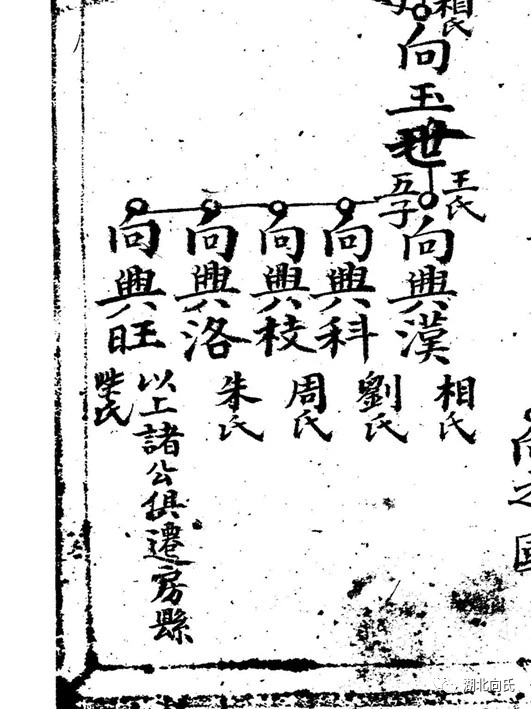 微信图片_20250502223449.jpg