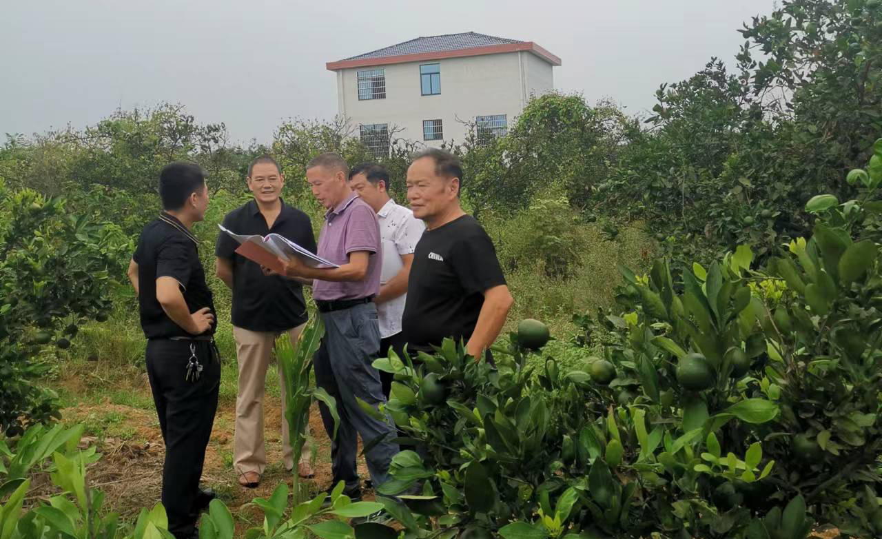 向氏文化园建设指挥部会议纪要