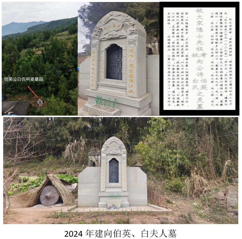 向士璧5.png