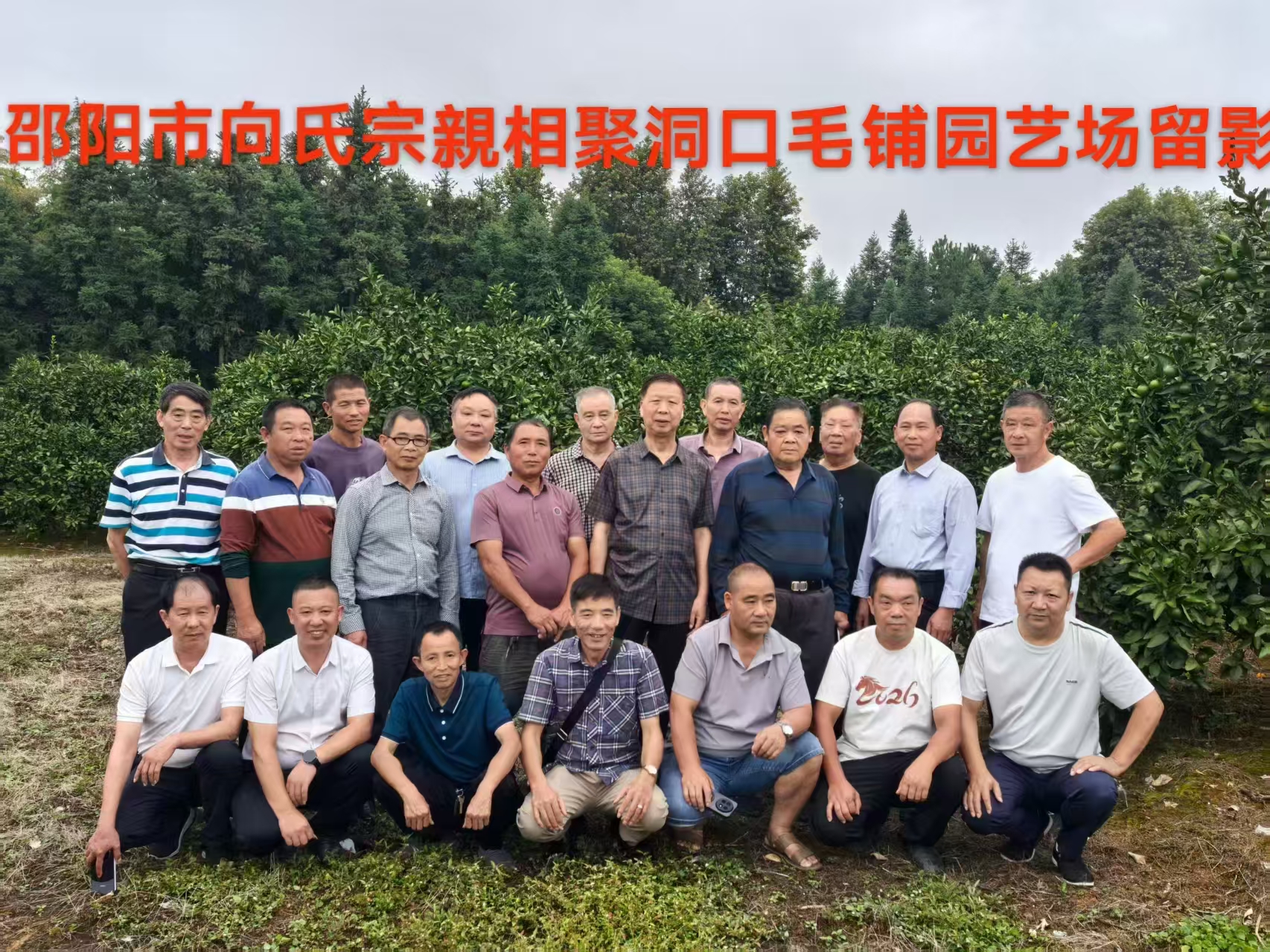 情系宗族，橘香传情——2026年向氏宗亲洞口聚会纪实
